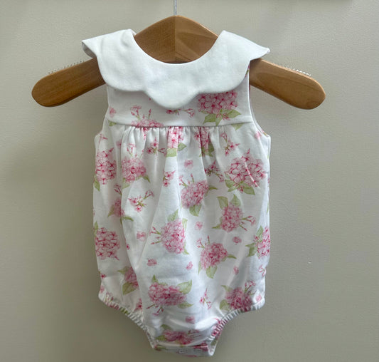 Pompous Hydrangeas Bubble