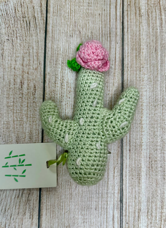 Cactus Rattle