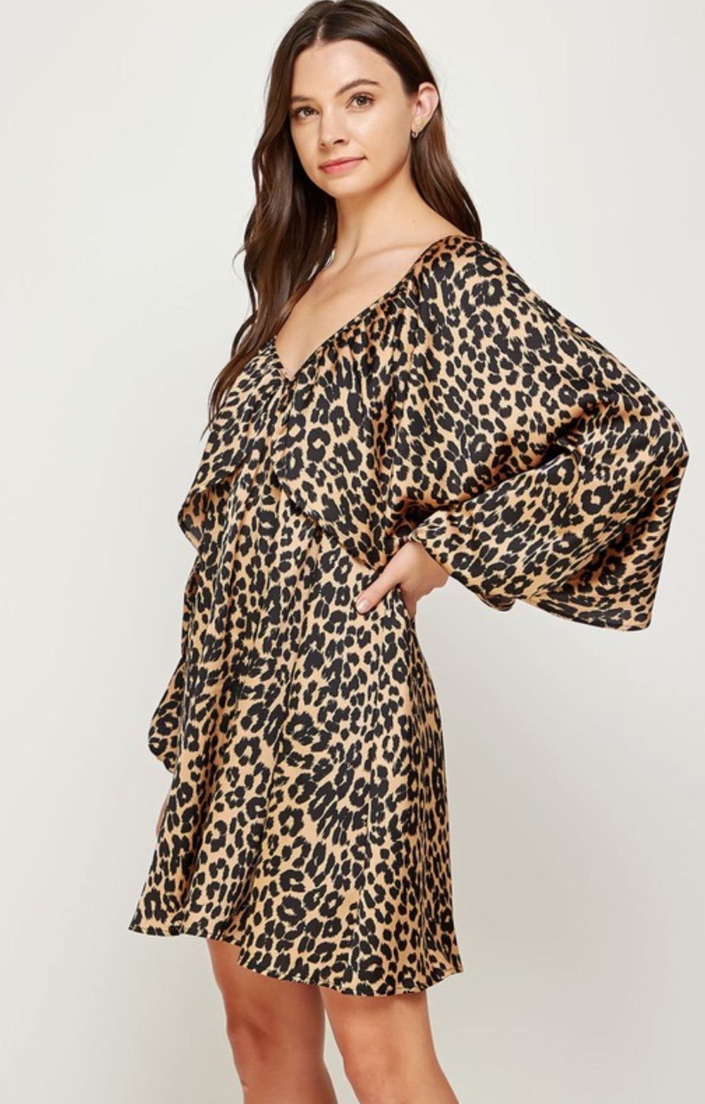 Leopard Shirred Satin Sleeve Dress